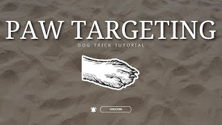Paw Targeting - Dog Trick Tutorial