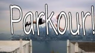 Parkourvector