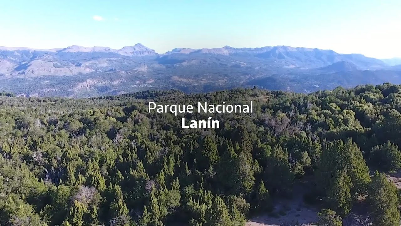 Parque Nacional Lanín