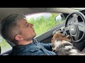 Кухни - Бонд с кнопкой (кавер) | cover by faru
