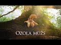 Ozola mūžs – filmas treileris