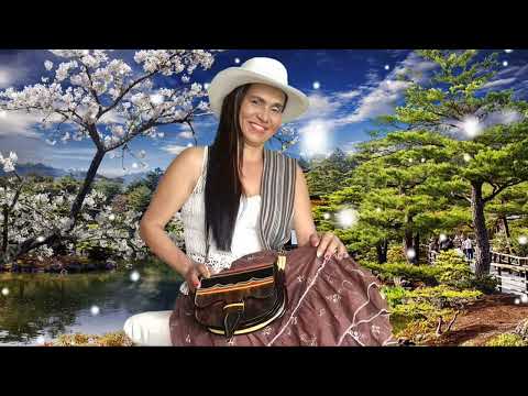 FALSA ILUSIÓN- Lice: