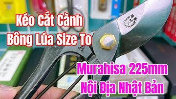 [ Tập 2134 ] Kéo cắt cành Bông Lúa Size To Murahisa 225mm nội địa Nhật Bản