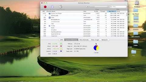 Activity Monitor Mac OS X