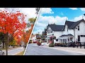 Walking toronto suburb of unionville markham during peak fall foliage