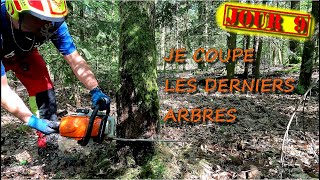 [EN MODE BUCHERON] J'abats les derniers arbres du lot  🪓🪵🌳🪚