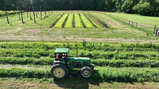 Managing Weeds and a Spring-Seeded Grass Cover Crop in Watermelon