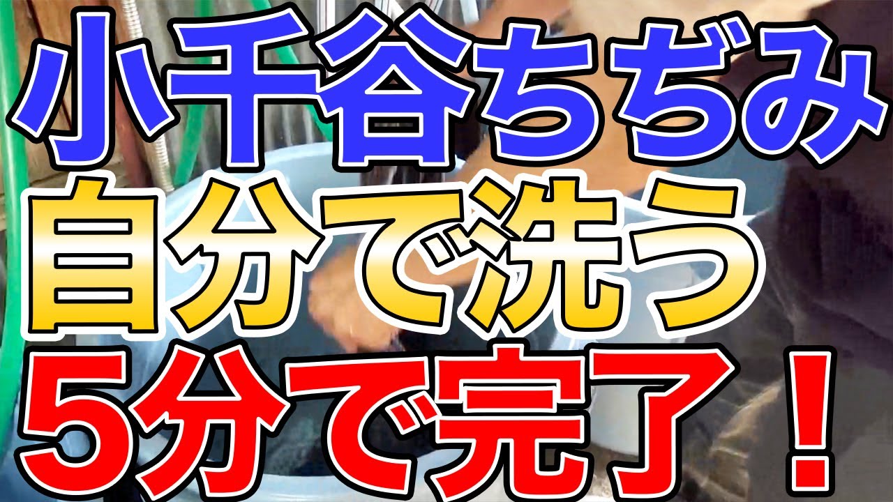 小千谷縮 証紙 手差し松煙染 松煙染 麻 性的 お手入れ済