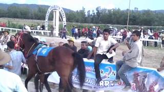 Pacuan Kuda. Kuda Stoner 1.600m Sawahlunto Derby. Kandi, 7 Desember 2014