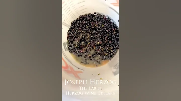 Microfermentatio...  in the Lab with Joseph Herzog