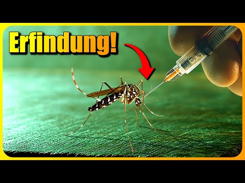 Forscher VERÄNDERN Stechmücken! Was steckt dahinter?