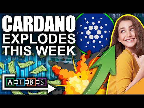 Cardano Spikes 25%
