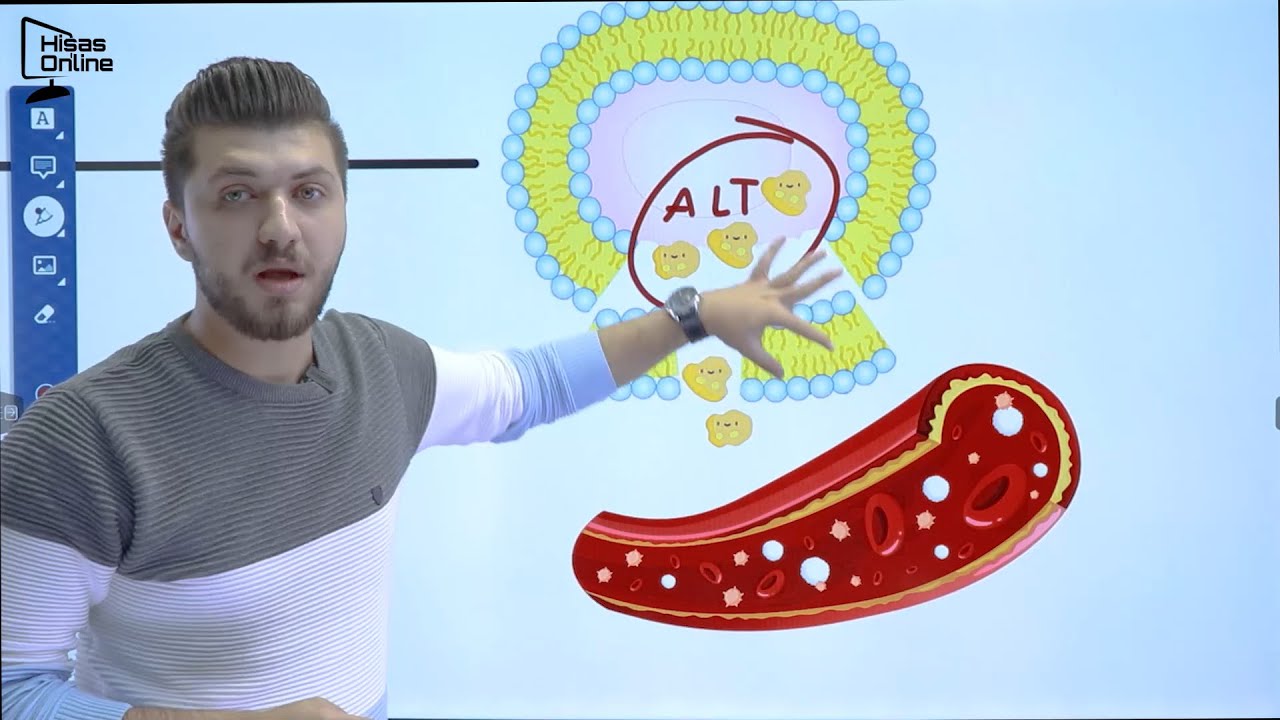 أحياء التوجيهي 2005 | مراجعة وحل امتحان الليبيدات | د. محمد القاضي