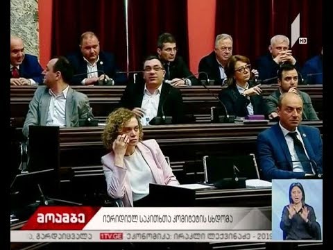კამათი იურიდიული კომიტეტის სხდომაზე