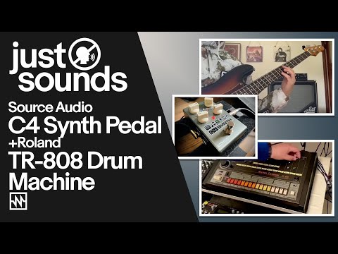 Just Sounds: Source Audio C4 Synth Pedal & Roland TR-808 Drum Machine