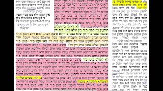 דף יומי מסכת ראש השנה דף ל Daf yomi Rosh hashana daf 30 שמואל נבון