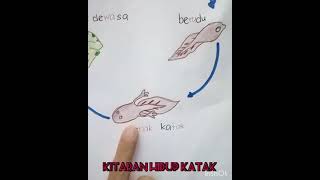 Jom sains kitaran hidup haiwan bersama cikgu yatie