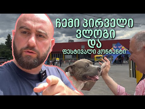 ჩემი პირველი Vlog-ი და ფესტივალი კონტენტი