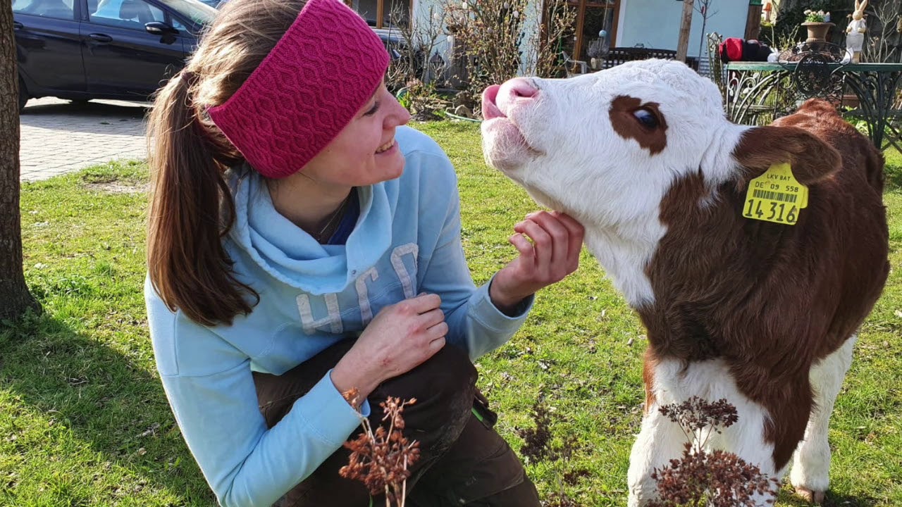 LSV-Bayern "Landwirtschaft ist Leidenschaft" Image Film - YouTube LSV-Bayern "Landwirtschaft ist Leidenschaft" Image Film - YouTube