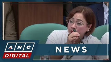 Sarah Discaya admits owning 9 construction firms, denies having 