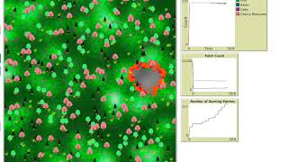 Forest Fire Model