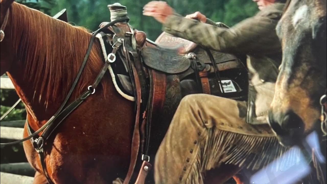 Yellowstone Saddles and other things I've noticed YouTube