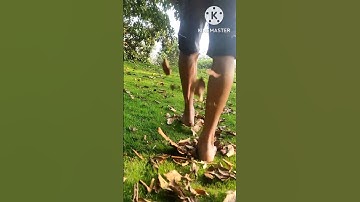 kinemaster editing reverse video