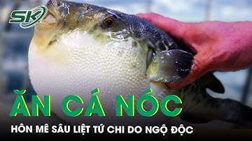 Cấp cứu tối khẩn ca bệnh hôn mê sâu sau 1 giờ ăn cá nóc | SKĐS
