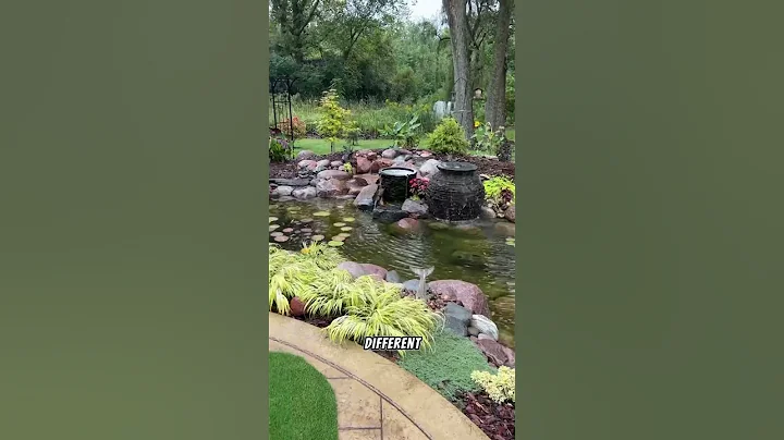 An incredible Pond with Unique Characteristics! Part1 #ecosystem #koipond #watergarden