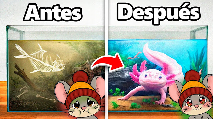 ¡Transformé el HOGAR de un AJOLOTE ABANDONADO! 😱💧 | Tito REACCIONA a TerraVerde