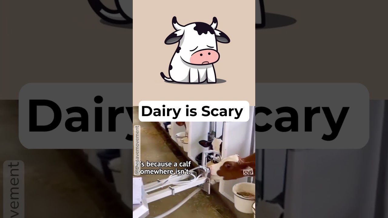 Dairy IS Scary 💔