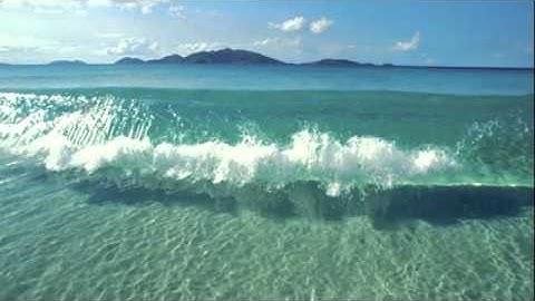 Deltree-Badal,Zya & Teddy C