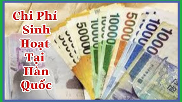 Chi Phí Sinh Hoạt 1 Tháng Ở Hàn Quốc.