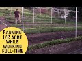 Urban Farmers Grow 1/2 Acre Farm in LA While Working Full Time