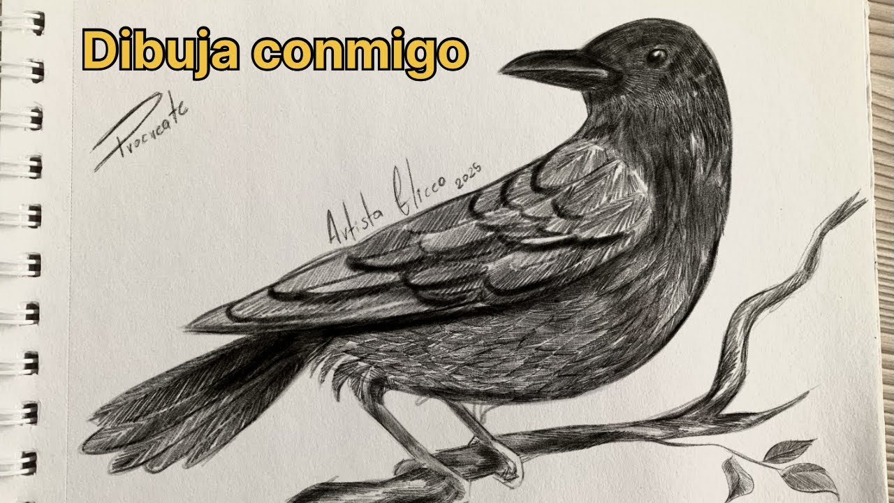 COMO DIBUJAR UN CUERVO ESTILIZADO DESDE CERO 2025 - YouTube