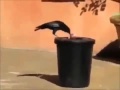 Intelligent crow throwing trash in bin