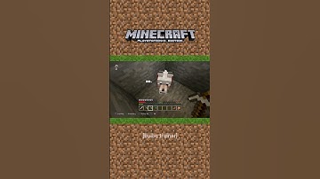 Visiting Ken #shorts #memes #minecraft #ps3 #playstation3 #console #gaming #letsplay #survival #dog