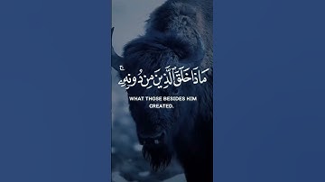 هذا خلق الله #اكسبلور #qrun #قرآن #تلاوة_خاشعة