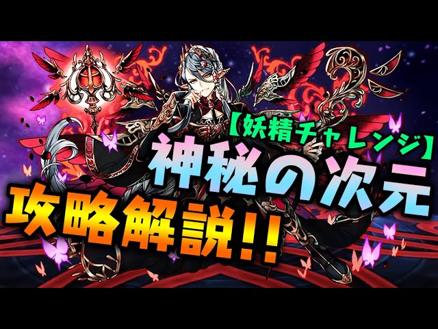 解説 神秘の次元 妖精チャレンジ 攻略解説 ダックス パズドラ実況 Youtube