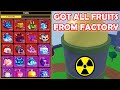 Blox fruits i did it getting every fruit only from factory in one