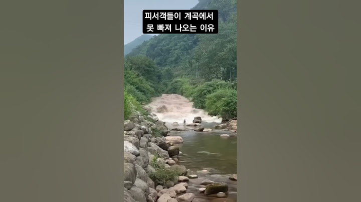 피서객들이 계곡에서 못 빠져나오는 이유