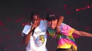 TRAVIS SCOTT - BUTTERFLY EFFECT (WITH A FAN ON STAGE LIVE IN PARIS) 🔥 @Lollapalooza Paris 2018