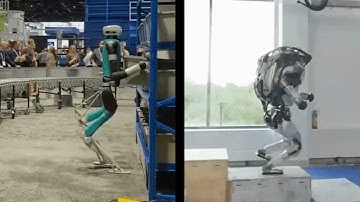 Robots Collapsing:Digit and Atlas: The Ultimate Collapsing Robot Showdown