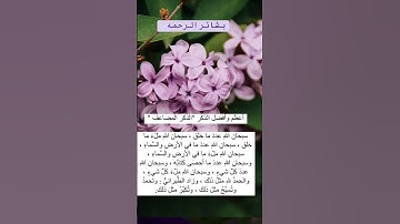 صوت من الجنه (لا اقسم بيوم القيامه ولااقسم بالنفس اللوامه)#قران_كريم #قران #تلاوات #عمر_عبدالله