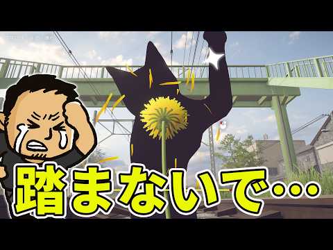 【タンポポは耐える。】生き抜くための光合成・細胞分裂と外敵対策の基本