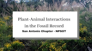 Plant-Animal Interactions in the Fossil Record - San Antonio Chapter - NPSOT