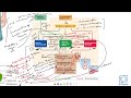 Anatomy and physiology of git  gastrointestinal tract  digestive system  physiology  mbbs  neet