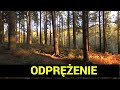 MUZYKA NA ODPRĘŻENIE DUSZY - RELAKS - MEDYTACJA - SEN