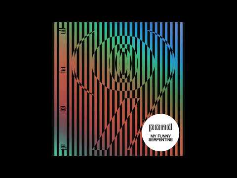 POND - My Funny Serpentine (Official Audio)