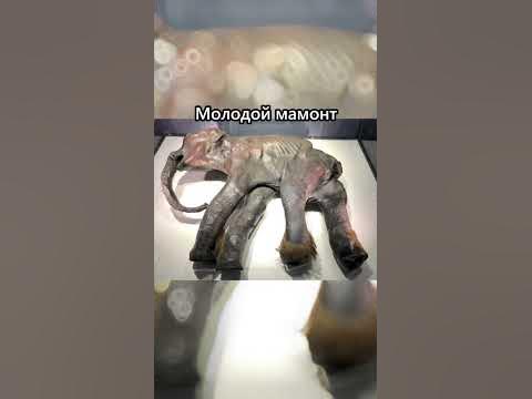 Самые странные вещи, найденные подо льдом 🥶 - YouTube